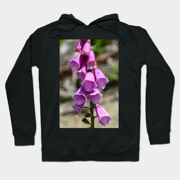 Bright pink common foxglove Hoodie by Steves-Pics